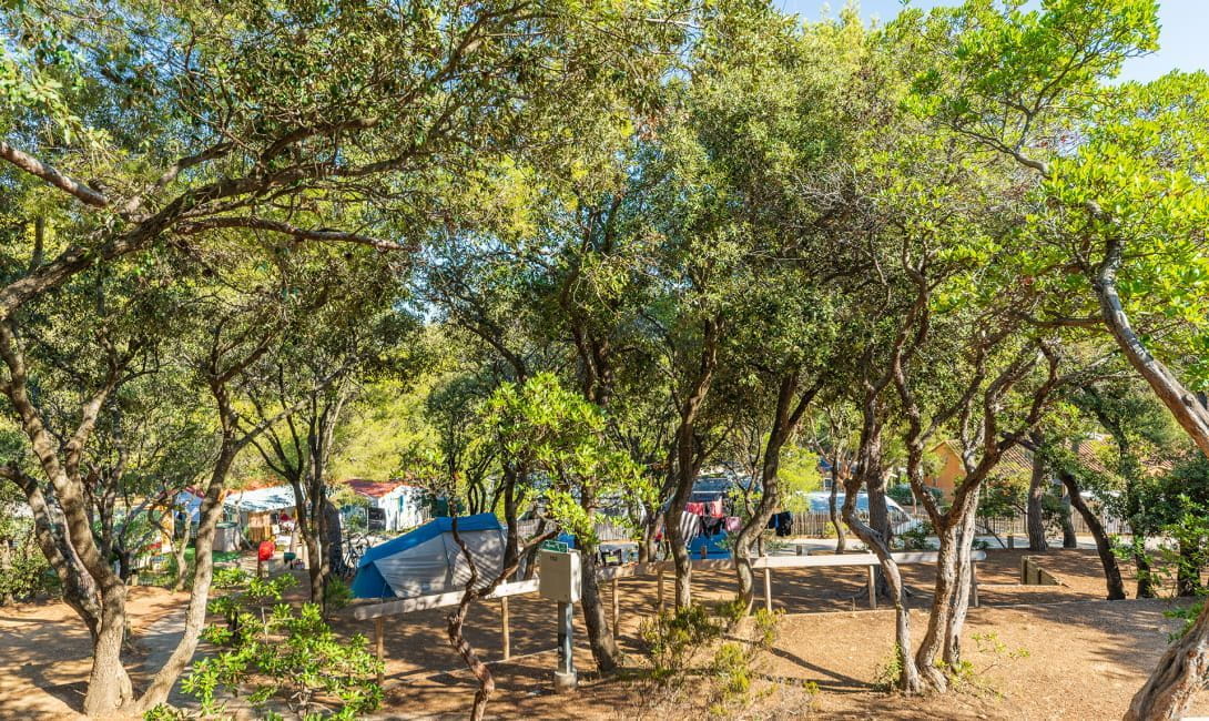 camping giens emplacements tentes