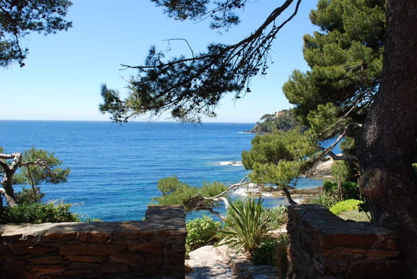 Le sentier du littoral à découvrir à Giens