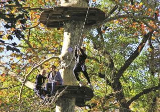 Boomklimmen en springen