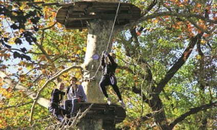 Boomklimmen en springen