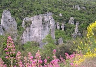 Wandelen - Les Aiguilles de Valbelle