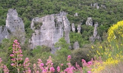 Wandelen - Les Aiguilles de Valbelle