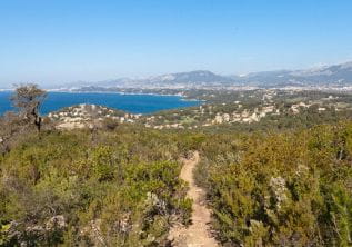 Wandelen - La Colle Noire en Cap Garonne